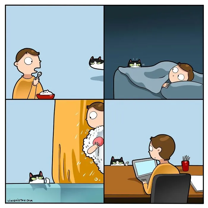 Esta artista ilustra cómo es vivir con un gato (25 nuevos cómics)