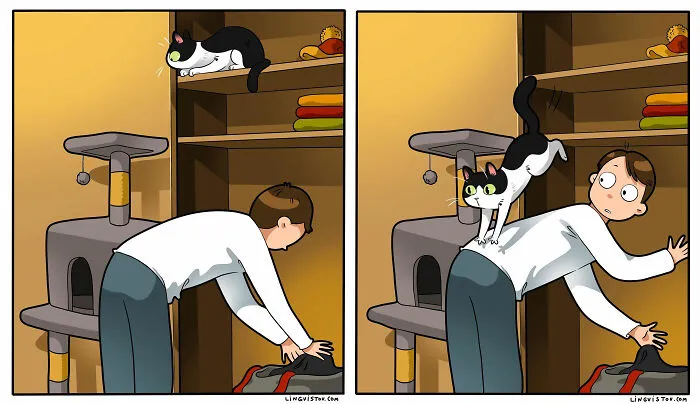 Esta artista ilustra cómo es vivir con un gato (25 nuevos cómics)