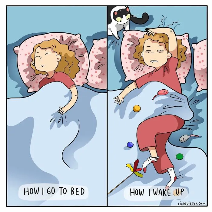 Artist Illustrates Funny Realities Of Living With A Cat (35 New Comics)