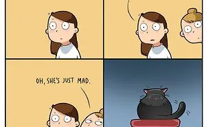 Artist Illustrates Funny Realities Of Living With A Cat (35 New Comics)