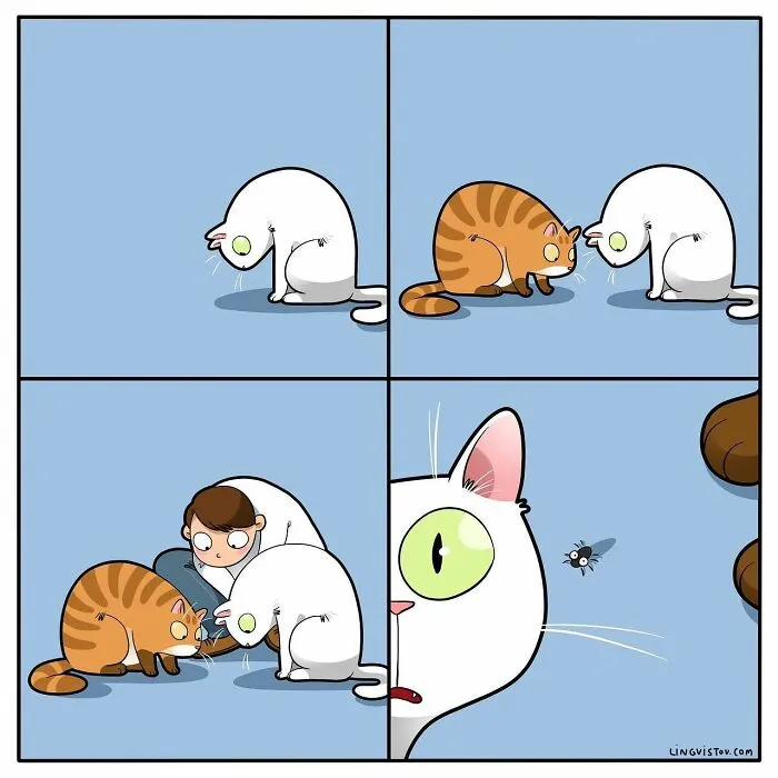 Esta artista ilustra cómo es vivir con un gato (25 nuevos cómics)