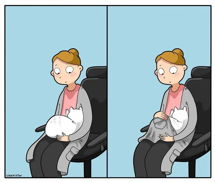 Esta artista ilustra cómo es vivir con un gato (25 nuevos cómics)