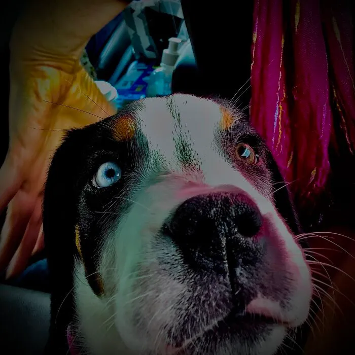 Bella Boo!!