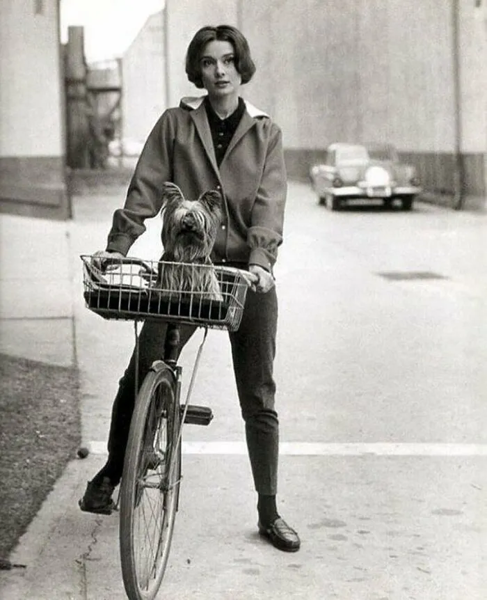 Audrey Hepburn y su perro Mr. Famous fotografiados por Sid Avery, 1957