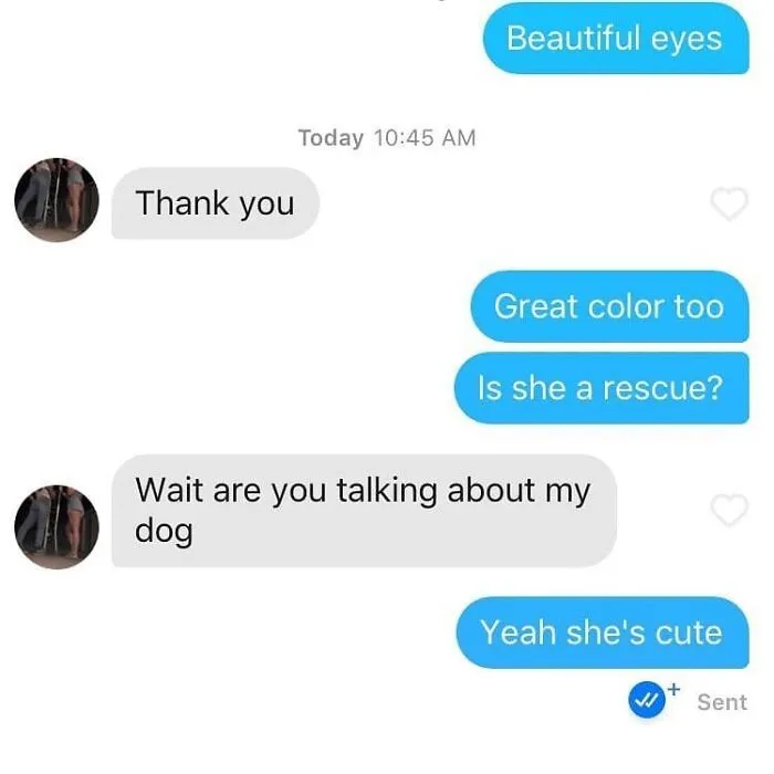 'Funny Tinder Screenshots': 40 Times Tinder Matches Were Actually Funny