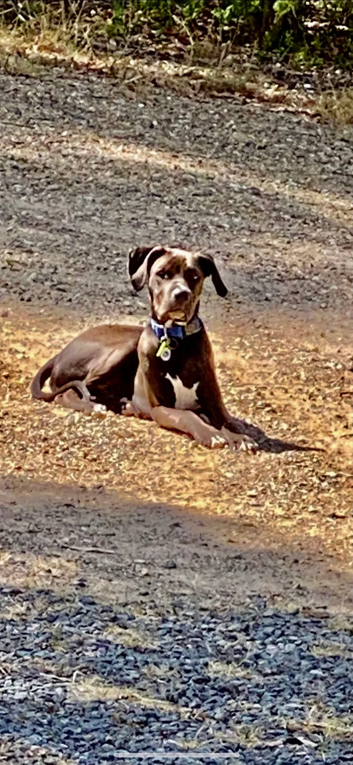 Sunbathing In The Driveway!