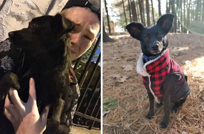 Sylvi After I Saved Her  In China (10/2017), And Her Well-Deserved Life In The USA Now 