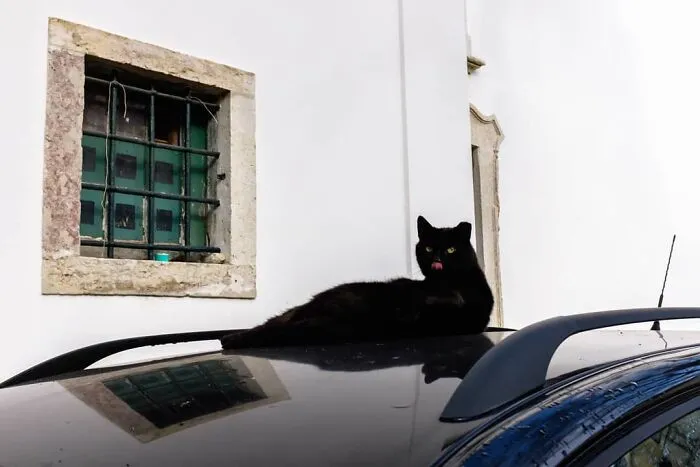 30 Extraordinary Pictures Taken By Jeffrey De Keyser Embracing "The Absurd Human Condition"