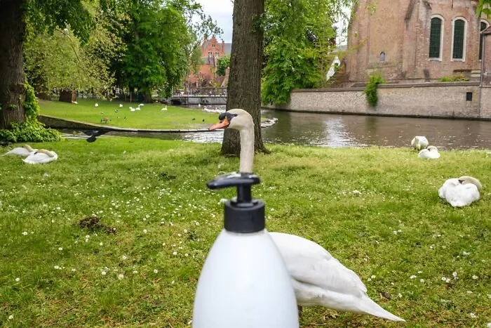 30 Extraordinary Pictures Taken By Jeffrey De Keyser Embracing "The Absurd Human Condition"