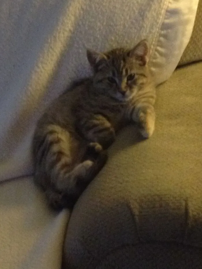 Rescue Baby!