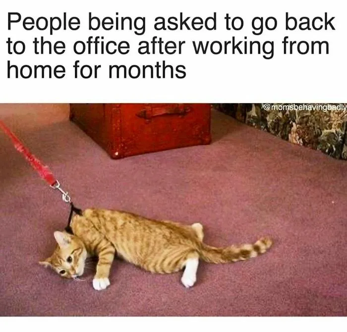 "Corporate Humor": 40 Memes About Office Life That Hit Way Too Close To Home
