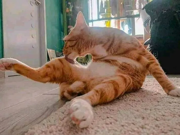 Weird-Images-Worth-Seeing