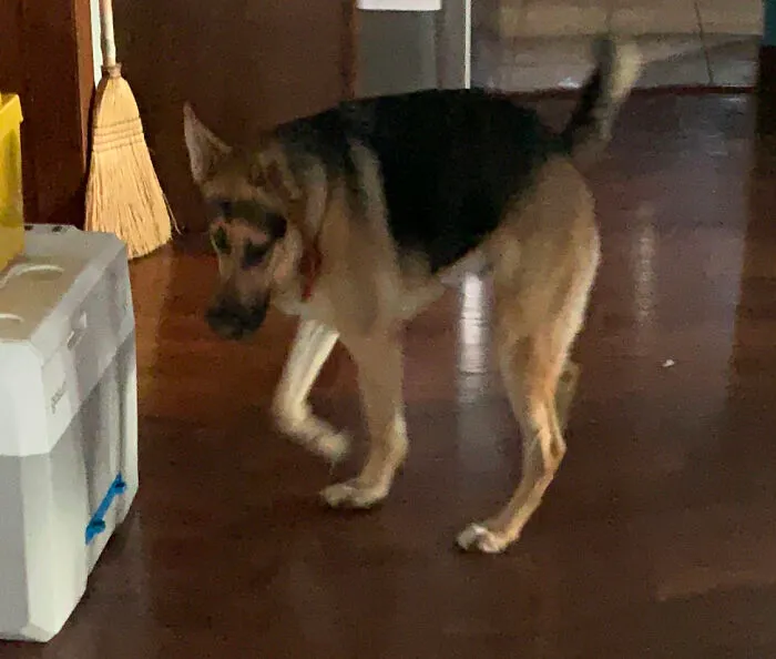 He Turned Around