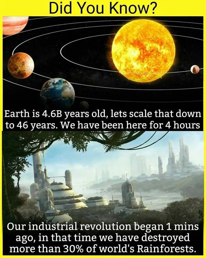 The 'Facts Encyclopedia' Instagram Is Dedicated To Sharing "Unknown Facts Daily", Here're 40 Of The Most Fascinating Ones