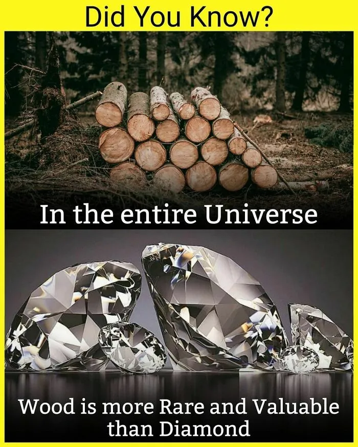 The 'Facts Encyclopedia' Instagram Is Dedicated To Sharing "Unknown Facts Daily", Here're 40 Of The Most Fascinating Ones