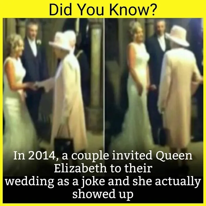The 'Facts Encyclopedia' Instagram Is Dedicated To Sharing "Unknown Facts Daily", Here're 40 Of The Most Fascinating Ones
