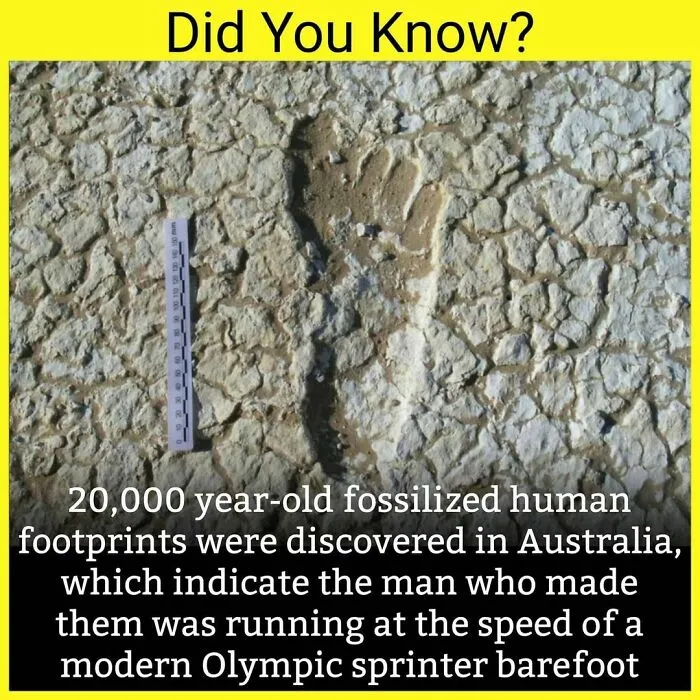 The 'Facts Encyclopedia' Instagram Is Dedicated To Sharing "Unknown Facts Daily", Here're 40 Of The Most Fascinating Ones
