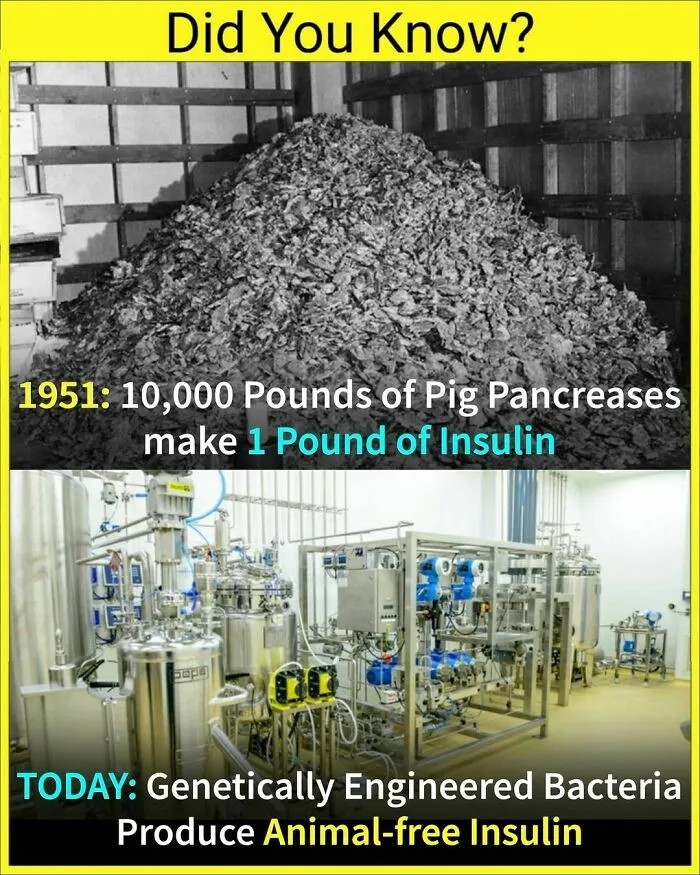The 'Facts Encyclopedia' Instagram Is Dedicated To Sharing "Unknown Facts Daily", Here're 40 Of The Most Fascinating Ones