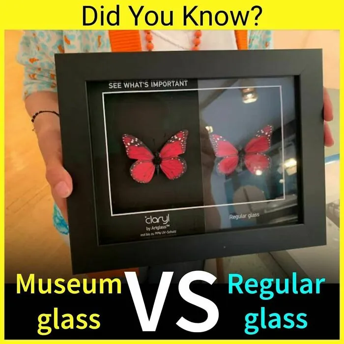 The 'Facts Encyclopedia' Instagram Is Dedicated To Sharing "Unknown Facts Daily", Here're 40 Of The Most Fascinating Ones