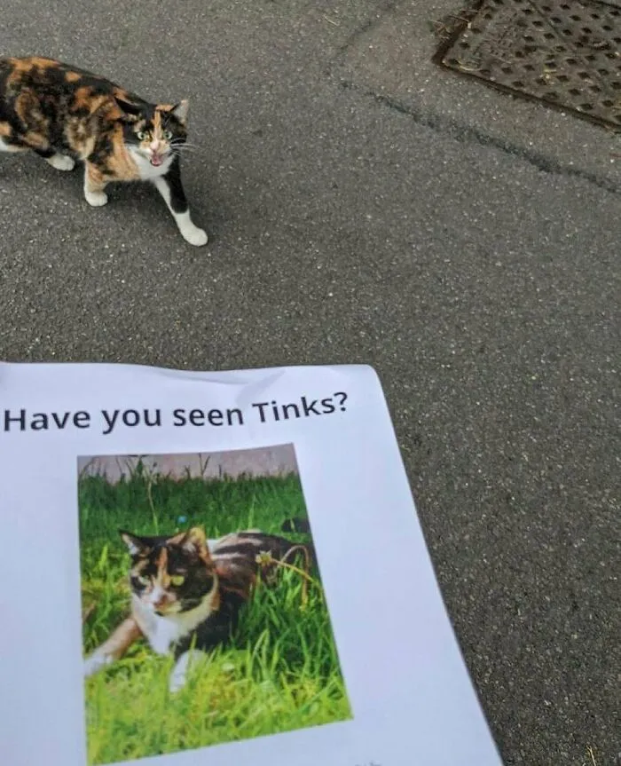 'Not My Animal': 40 Animal Pics That Just Don't Make Any Sense, As Shared On This Instagram Account