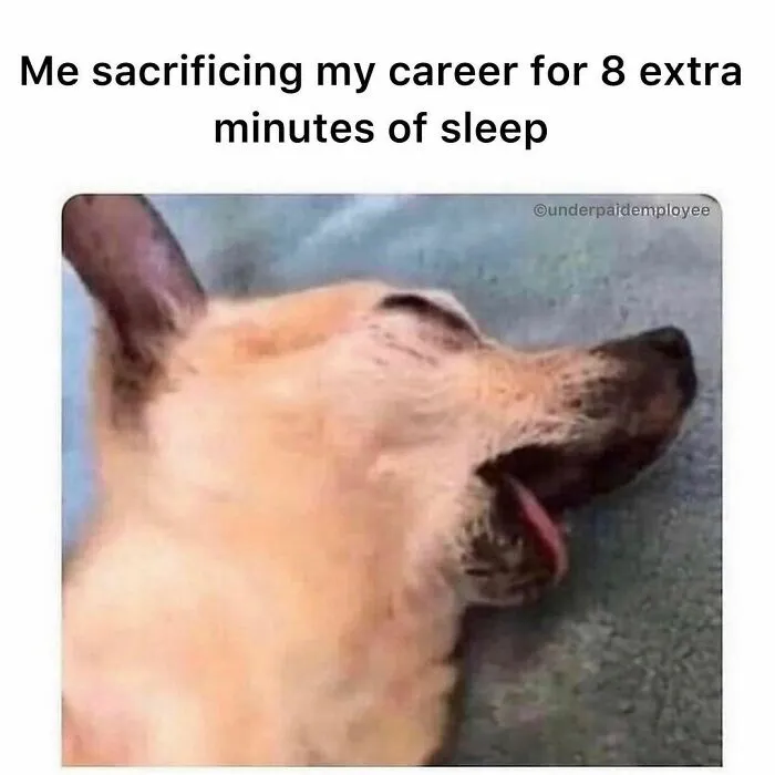 40 Hilarious Memes For Frustrated Underpaid Employees, As Shared By This Instagram Account