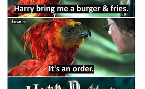 50 Hilariously-Relatable Memes Shared On The 'Sarcasm Only' Instagram Account