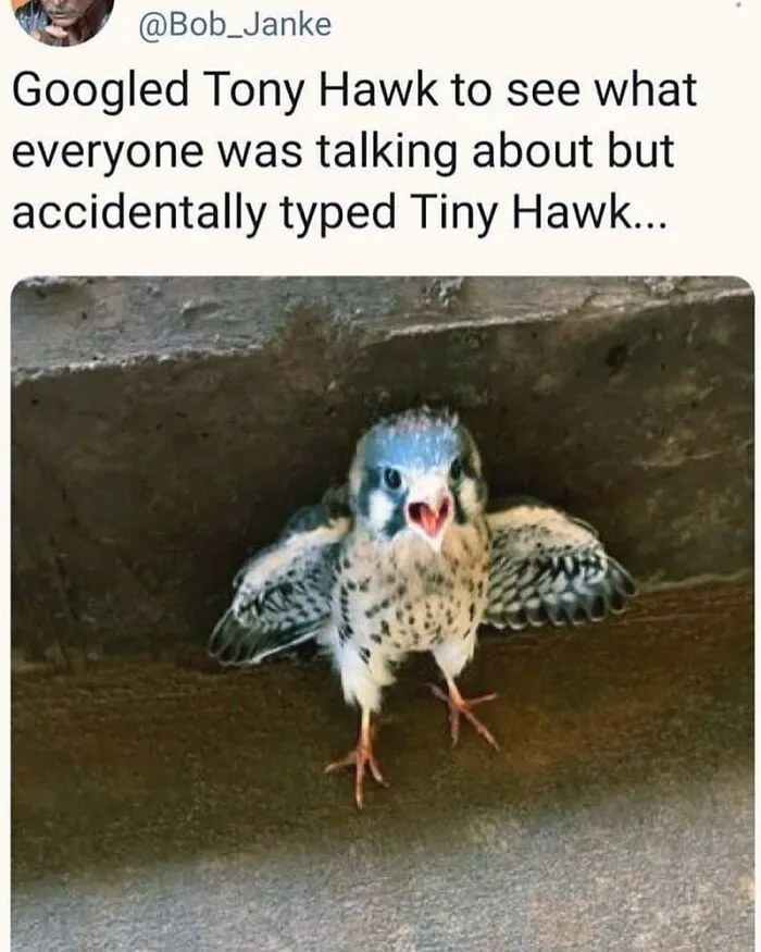50 Of The Most Wholesome Posts From This Instagram Account To Fill You With Joy