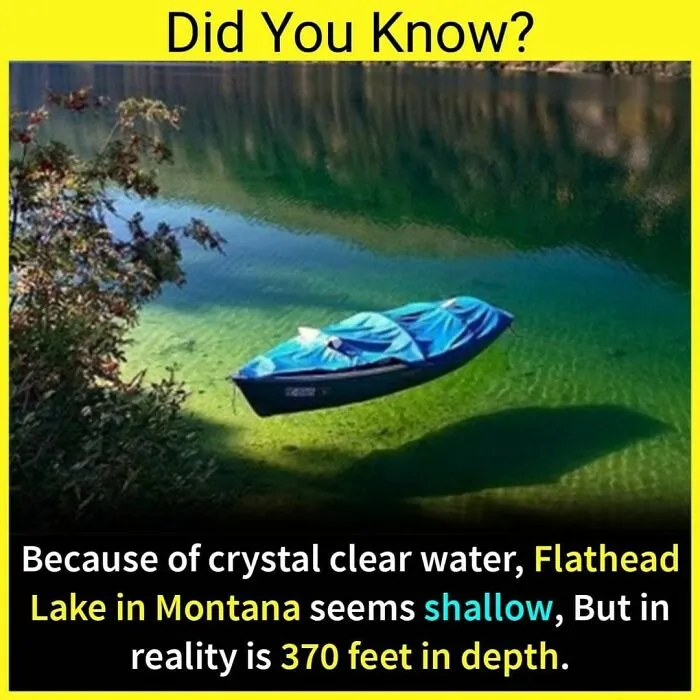 The 'Facts Encyclopedia' Instagram Is Dedicated To Sharing "Unknown Facts Daily", Here're 40 Of The Most Fascinating Ones