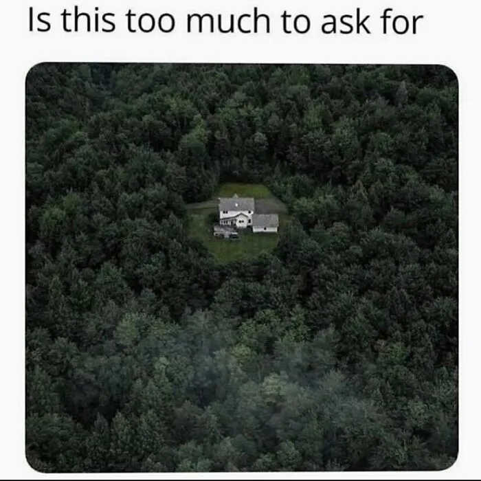 Meme