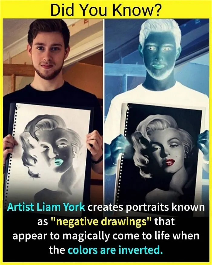 👉follow @_.factopedia For More Unknown & Interesting Facts 😎

like❤️ Comment✍️ Share🚀
save It For Future 🥰

😱 Don't Forget To Check The Interesting Stories 😉

📸 Image Credit To It's Respective Owner

🔔 Turn On Post Notification