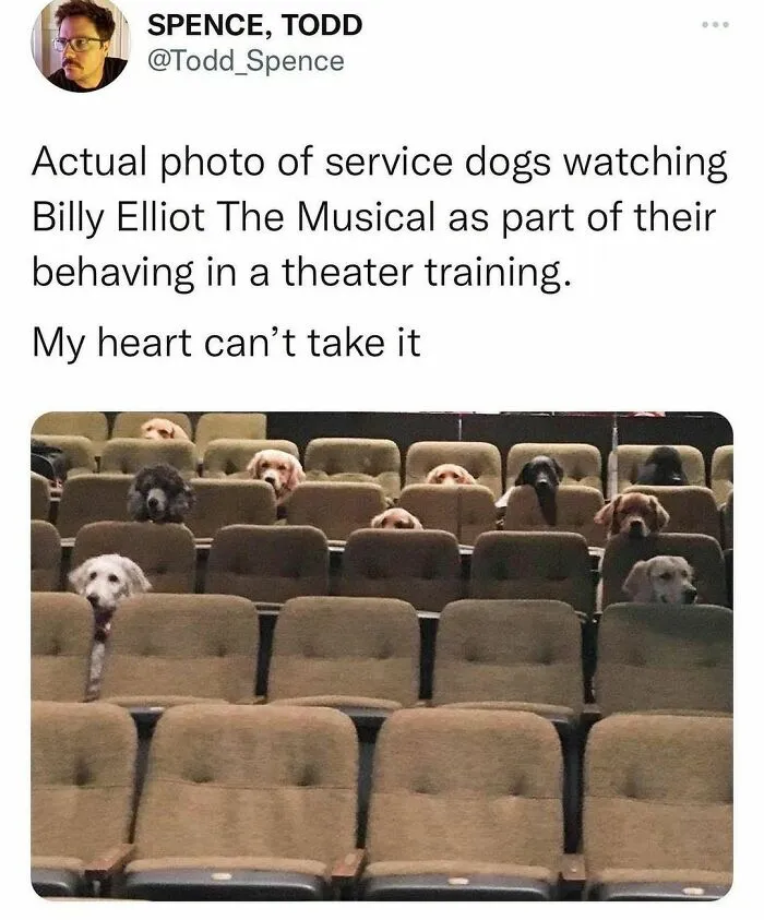 50 Of The Most Wholesome Posts From This Instagram Account To Fill You With Joy