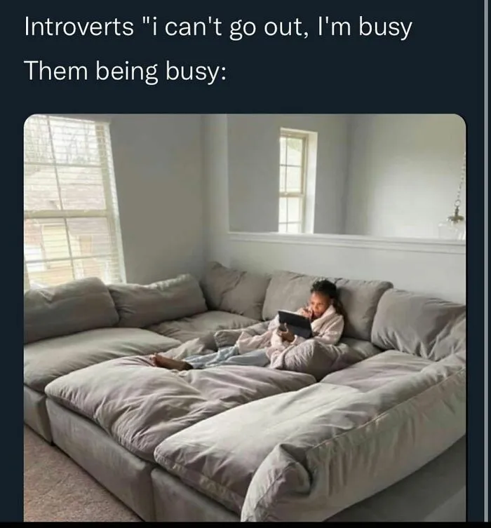 40 Funny ‘Antisocial Memes’ Introverts Might Relate To