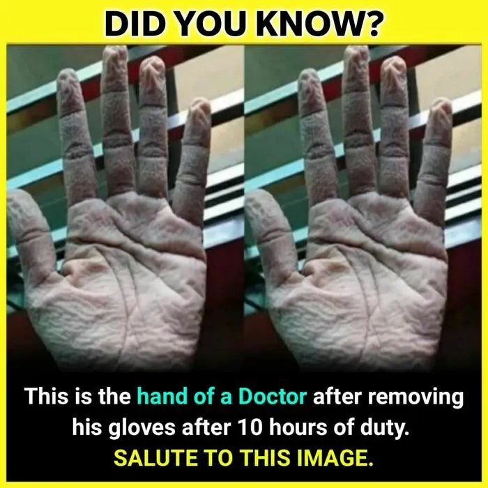 The 'Facts Encyclopedia' Instagram Is Dedicated To Sharing "Unknown Facts Daily", Here're 40 Of The Most Fascinating Ones