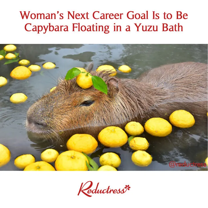 The Internet Can’t Get Enough Of This Fake Women’s Online Magazine With Hilariously Relatable ‘Articles’ (New Pics)