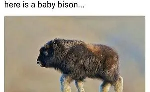 50 Of The Most Wholesome Posts From This Instagram Account To Fill You With Joy