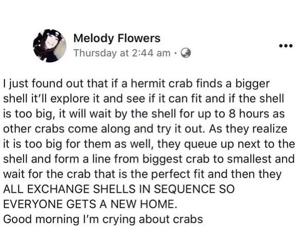 50 Of The Most Wholesome Posts From This Instagram Account To Fill You With Joy