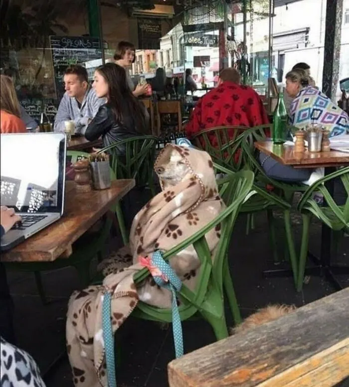 38 Fotos de animales que no tienen ningún sentido, compartidas en esta cuenta de Instagram