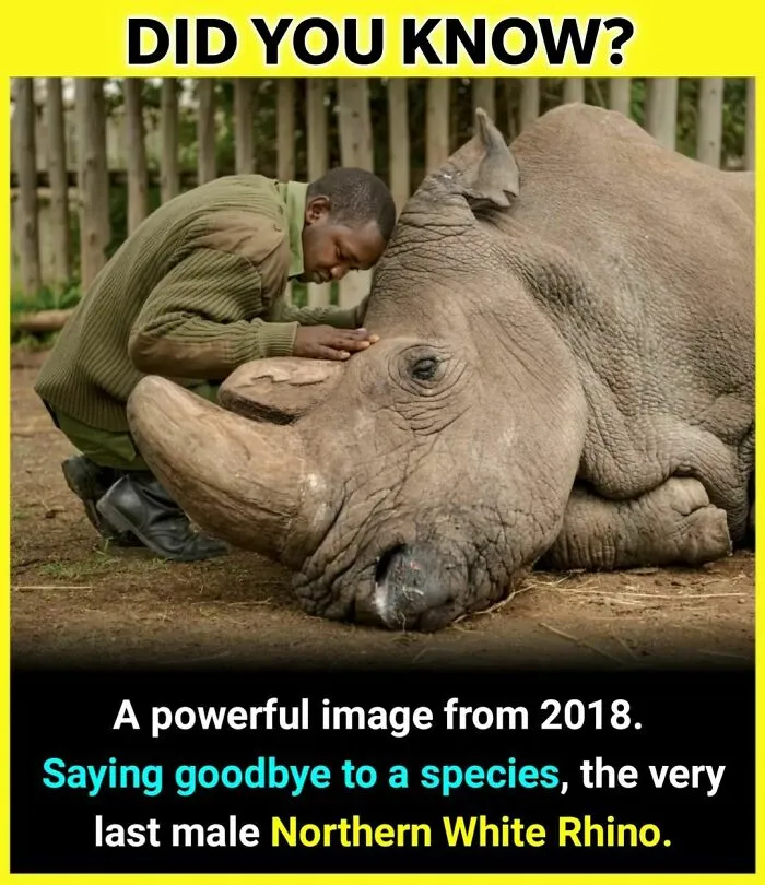 The 'Facts Encyclopedia' Instagram Is Dedicated To Sharing "Unknown Facts Daily", Here're 40 Of The Most Fascinating Ones