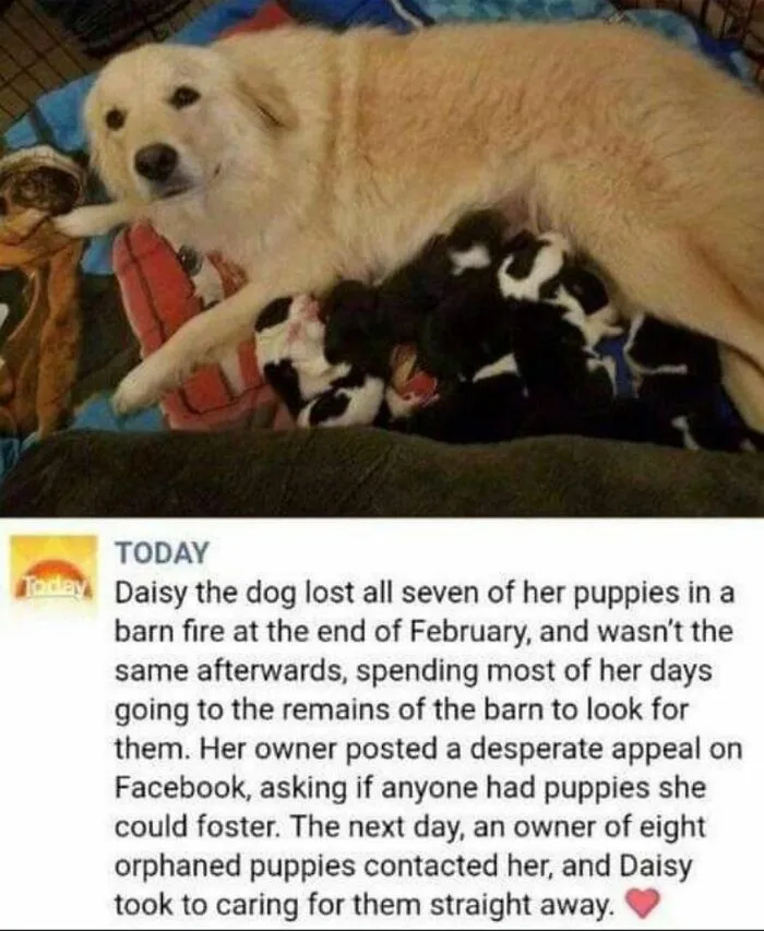 50 Of The Most Wholesome Posts From This Instagram Account To Fill You With Joy