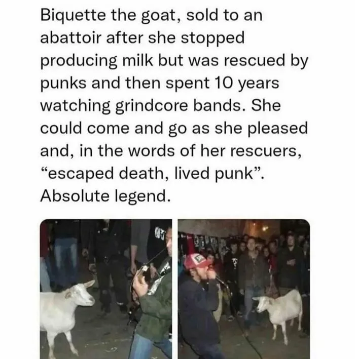 50 Of The Most Wholesome Posts From This Instagram Account To Fill You With Joy