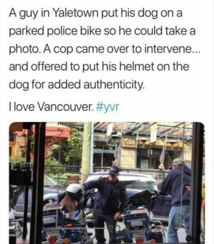 50 Of The Most Wholesome Posts From This Instagram Account To Fill You With Joy