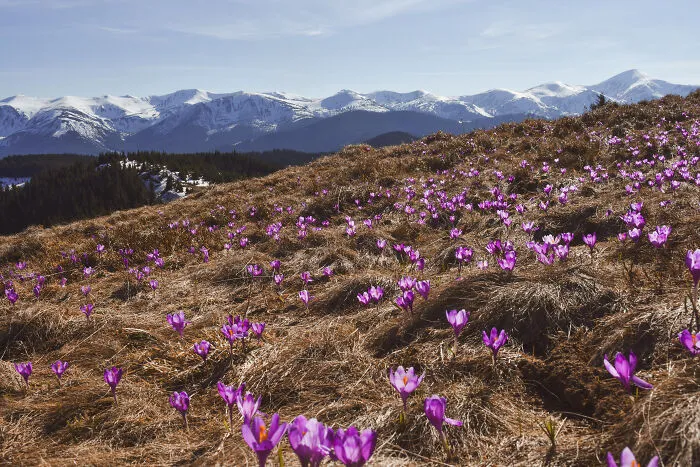 19 Breathtaking Images Of The Ukrainian Carpathians That I Took