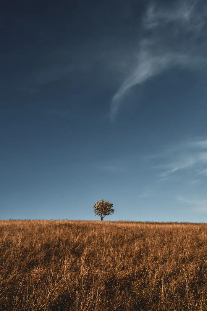 19 Breathtaking Images Of The Ukrainian Carpathians That I Took