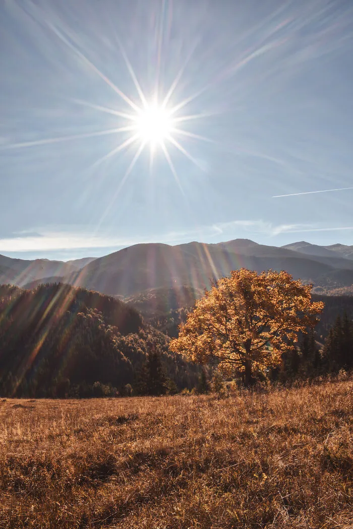 19 Breathtaking Images Of The Ukrainian Carpathians That I Took