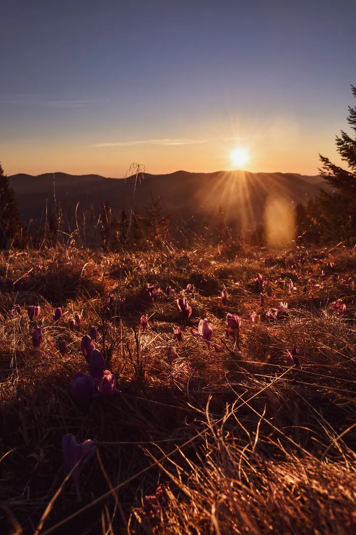 19 Breathtaking Images Of The Ukrainian Carpathians That I Took