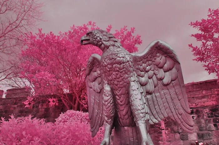 I Am A Newbie Infrared Photographer And Here Are Some Of My Best Pics So Far (15 Pics)