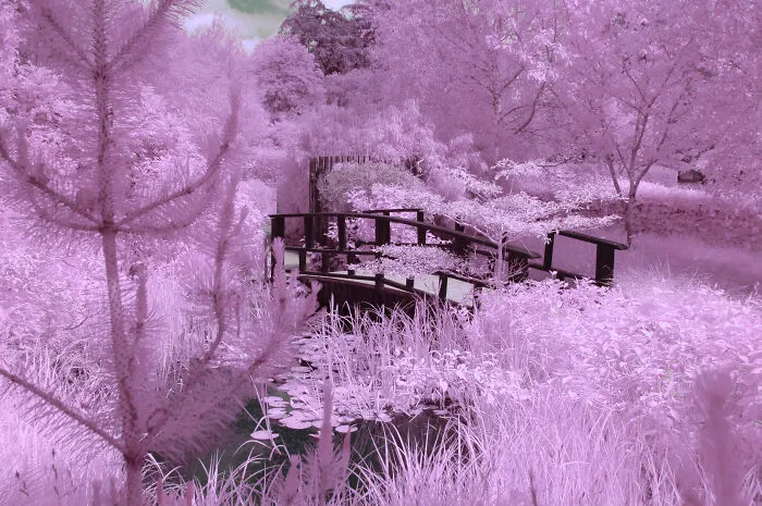 I Am A Newbie Infrared Photographer And Here Are Some Of My Best Pics So Far (15 Pics)