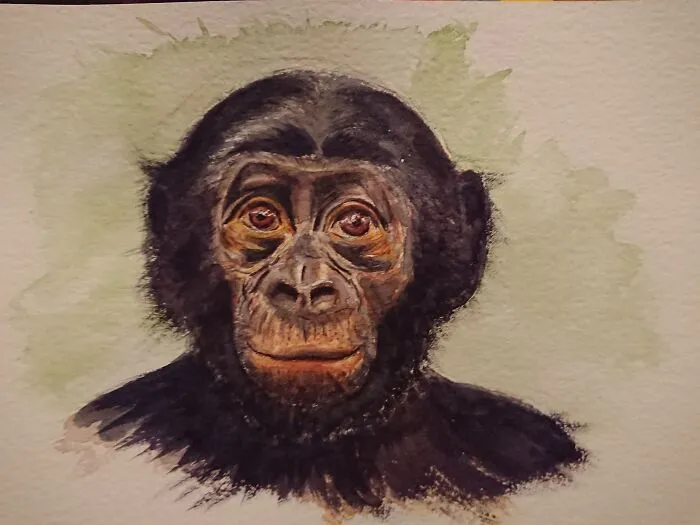Watercolour Experiment Using Only 3 Colours.