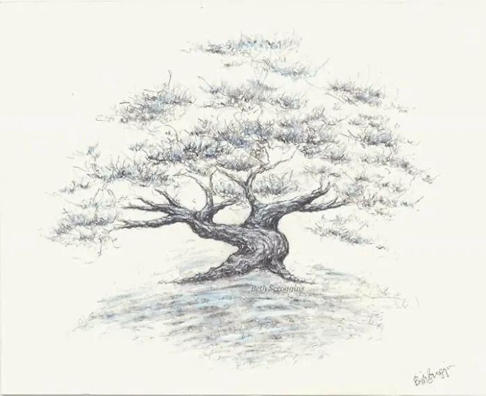 Pen & Ink