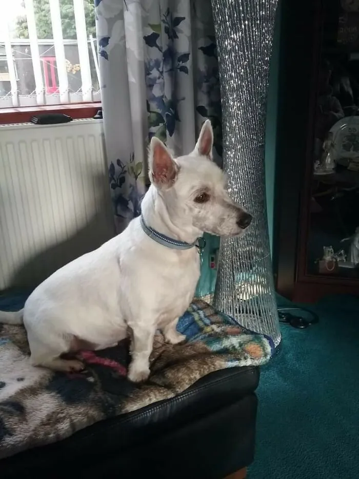 My Beautiful Boy Kai